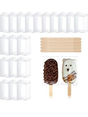 Clear Cakepop/Popsicle Boxes with Wooden Sticks - Transparent Sleeves - NWT